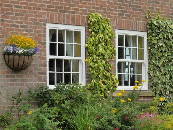 UPVC Sash Windows